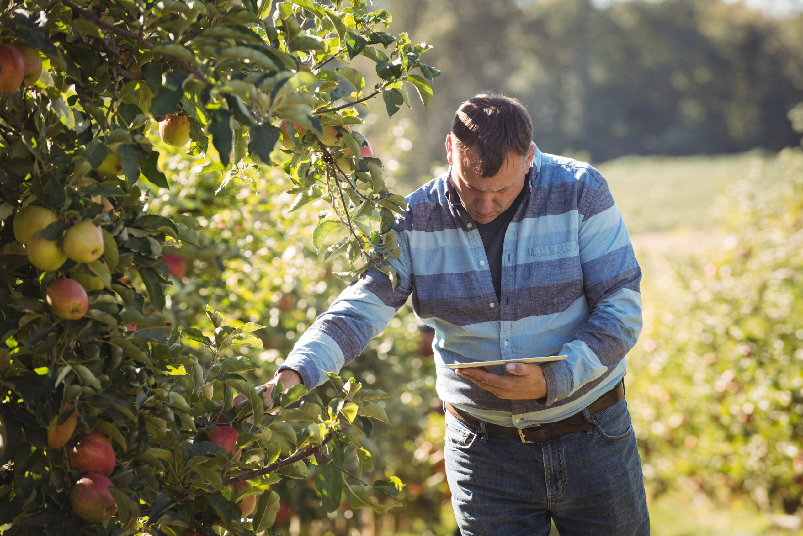 https://www.pomatech.org/wp-content/uploads/2024/07/farmer-using-digital-tablet-while-inspecting-apple-tree-apple-orchard-scaled.jpg