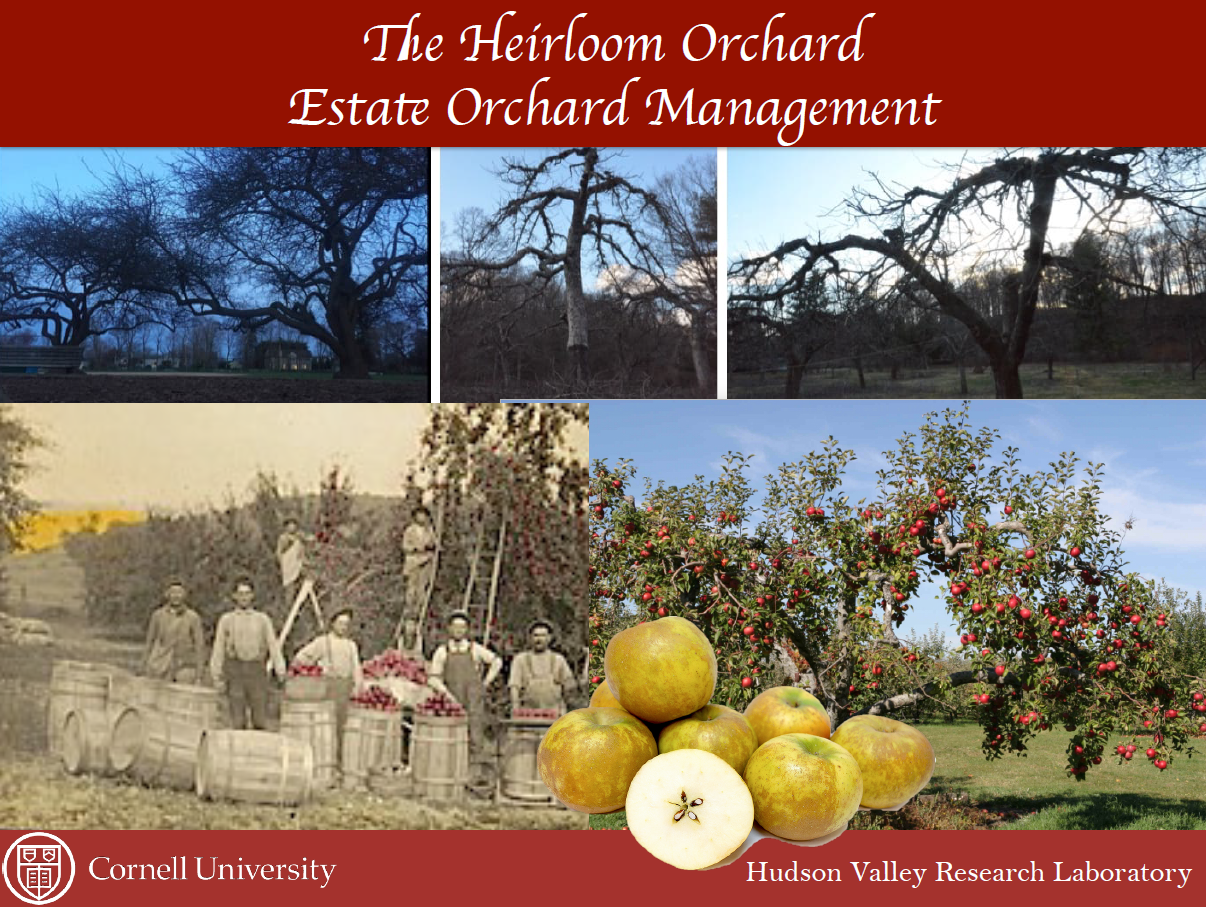 https://www.pomatech.org/wp-content/uploads/2024/10/Heirloom-Orchard-Estate-Orchard-Management-Presentation-Cover.png